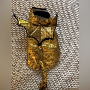 Hyde & Eek! Dragon Pet Costume- small